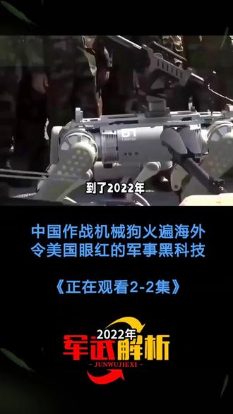和平之光,何时照亮俄乌大地