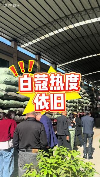 白蔻热度依旧,这个通关政策会持续到什么时候呢?#白蔻#香料 #源头好货 #大红八角 #农副产品