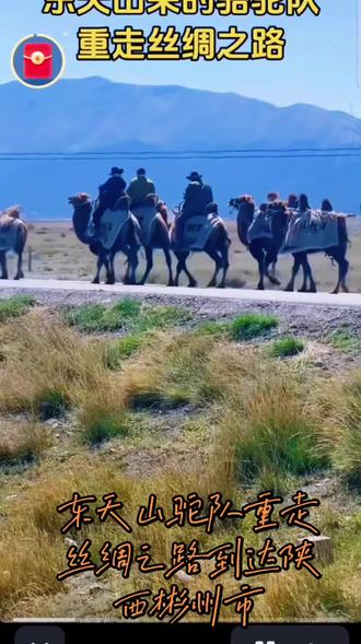 东天山驼队重走丝绸之路今日到达陕西彬州市#
#马背上的民族