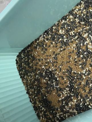 咱家的鸟粮主打高性价比,颗粒饱满,高油价作物!