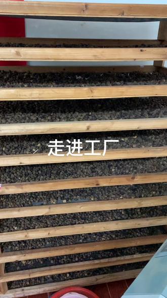 #珠子 #星月 欢迎大家一起进步