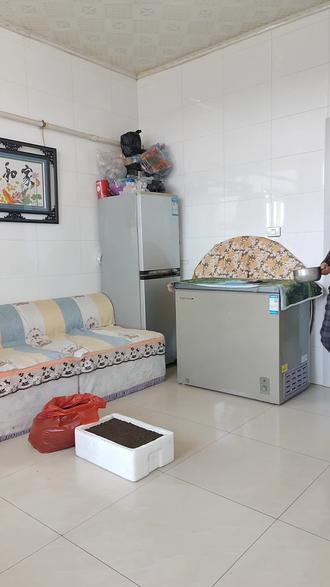 又到育苗的时候了