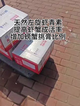 #螃蟹养殖 #大闸蟹养殖 #红膏大闸蟹