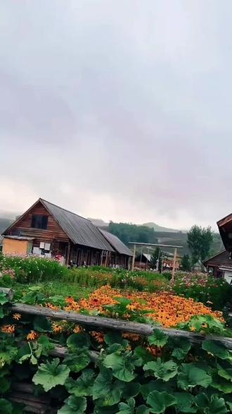 天秤与双鱼是虐恋#天秤座#双鱼座#禾木村