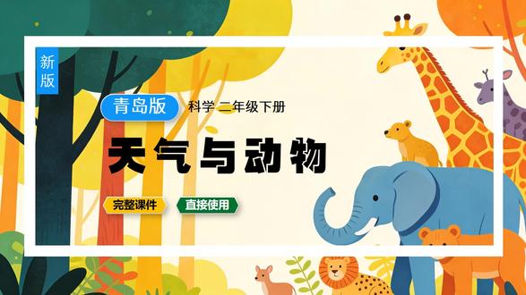 天气与动物青岛版科学课件小学二年级下册科学公开课教案备课 # #小学科学 #青岛版科学 #科学课件 #青岛科学实验 #科学公开课 #科学老师日常