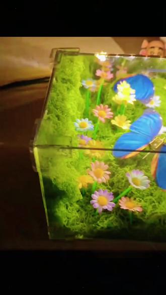 【第二代】绿野仙踪春日蝴蝶DIY小夜灯材料包礼物成品送女朋友闺蜜#小夜灯 #材料包 #好物推荐🔥