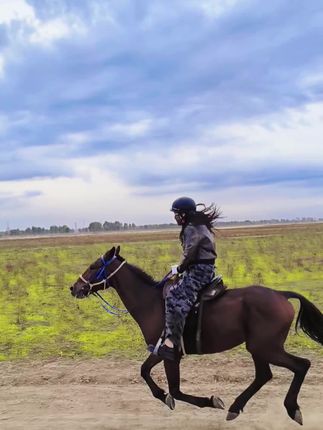 人生应是旷野 自由且热烈