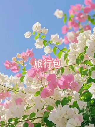 #旅行包 #健身包 #行李包 #旅行必备 #行李袋