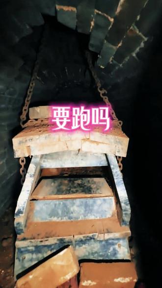 野外遇到这种情况要跑吗? #科普