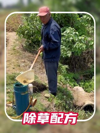 除草剂该怎么选择#草甘膦异丙胺盐 #除草剂