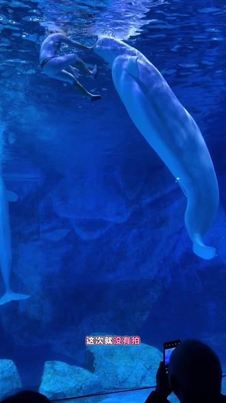 #郑州海昌海洋公园 #海洋馆 #带娃的日子 #记录亲子旅游足迹 #周边游 一定要看到最后哦,相信大家或多或少会有所收获✅@DOU+上热门 @DOU+小助手