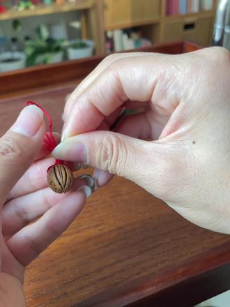 正月采摘桃枭#治愈系手工 #记录手工日常 #大自然的馈赠 #桃枭 #新年挂件来啦