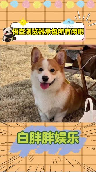 悟空浏览器承包所有闲暇 #悟空浏览器 #追更神器 #懒人福音 #追剧追书