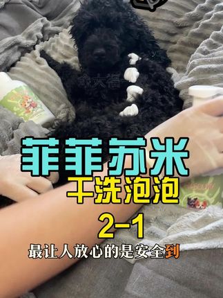 懒人秋冬不用怕,油皮星人更好用~#懒人必备 #新手养宠 #科学养宠 #萌宠好物抖起来 #宠物干洗泡泡