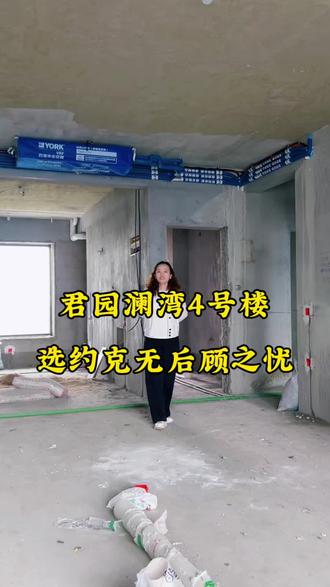 君园澜湾小区约克中央空调进场安装