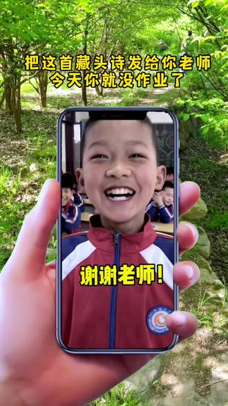 #藏头诗 你把这首藏头诗发给老师,今天你就没作业了
