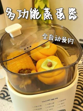 #煮蛋器 用这个煮鸡蛋真的方便,还能顺带蒸点玉米、包子啥的。咱们上班、上学的太实用了。#厨房小家电 #煮鸡蛋