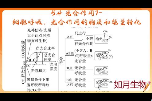 必修一光合提分课:光合呼吸物质能量转化核心考点 生物提分干货!必修一光合系列 7 来啦~ 拆解光合与细胞呼吸的物质能量转化,吃透光照曲线 A/B 点、碳氧氢元素循环,光合呼吸大题直接拿捏!关注持续更光合系列~
#高中生物 #必修一生物 #光合作用 #生物提分干货 #一轮复习