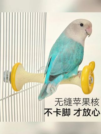 养鸟为什么头疼?因为小鸟站你头上抓了抓你的头皮!#鹦鹉 #手养鹦鹉 #手养鸟 #鹦鹉站棒 #苹果核磨爪棒
