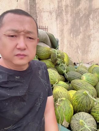 斗牛小瓜 一直以来,感谢广大朋友和粉丝的支持和理解,2025年蜜瓜季节过半,喜欢吃蜜瓜的家人们赶快下单,价钱低瓜又漂亮!#口感特别好 #优质农产品 #原创视频 #新鲜采摘 #软糯香甜 @三喜爷爷 @上青杰哥 @写给柴先生的信