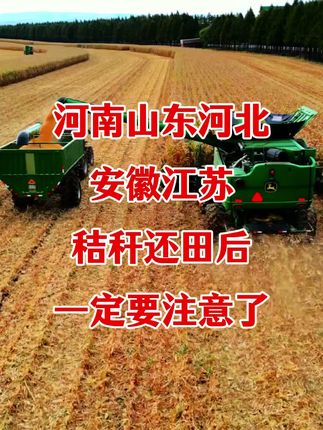 河南,山东,安徽辽宁江苏秸秆还田的一定要注意啦#秸秆还田 #玉米秸秆 #秸秆腐熟 #秸秆还田宝