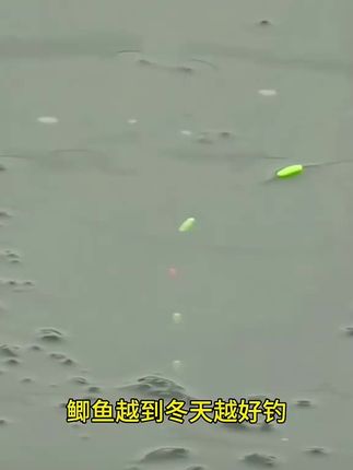 #钓鱼 #钓鲫鱼 #七星漂线组#七星漂传统钓 #七星漂朝天钩线组