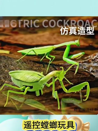 💥超逼真红外遥控螳螂玩具来啦!,仿真造型 ,背部带灯光✨,橡胶耐磨轮胎 ,灵活爬行,拿遥控器一操作,像真螳螂“复活”,逗娃、整蛊、把玩超有趣,昆虫迷