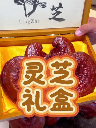 长白山红灵芝礼盒#礼盒 #灵芝