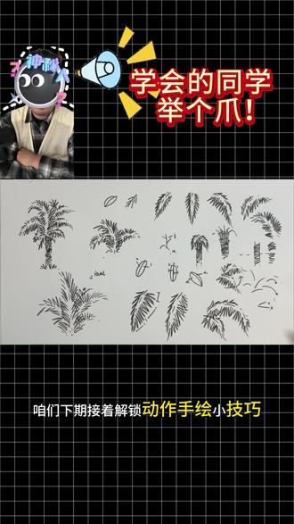 棕榈树教学 #快题 #快题设计 #手绘 #棕榈树 #马克笔