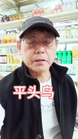 南美洲的鸟#霍内罗鸟#大自然的馈赠 #口播@抖家小助手