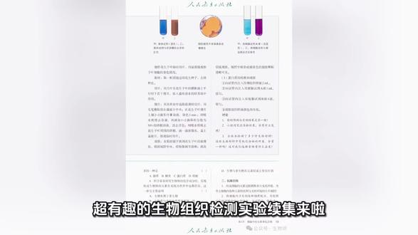 高中生物学脂肪的检测。