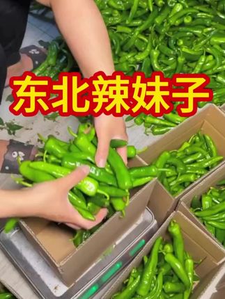 东北辣妹子,辣椒!#辣妹子 #辣椒 #东北 #农村美食 #农村生活