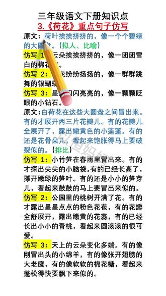 三下语文 第3课 荷花 重点句子仿写 仿写句子是三年级的重难点,也是写作文的基础。一定要多读多背多练多积累#知识分享#学霸秘籍 #知识点总结 #教材帮