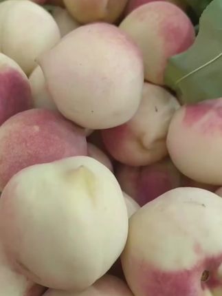 #秋白桃#桃#小毛桃#小时候的味道#酸酸甜甜🍑