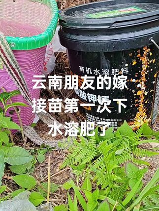 #三农种植 #抖音助农扶农 #服务三农