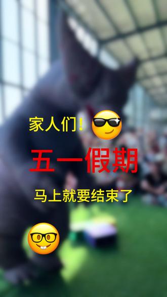 家人们,五一假期马上就要结束了!是谁还没有体验到捉鱼捉螃蟹的快乐?#亲子 #亲子游玩好去处 #户外 #鹿邑 #五一