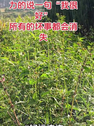 #小仙女早上6点开播