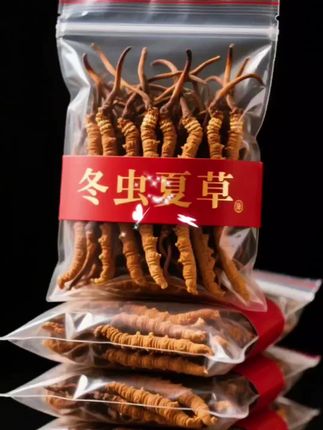 东阳光冬虫夏草3-4根/克尝鲜4根装高品质性价比精美包装滋养甄选#冬虫夏草 #冉檬美食