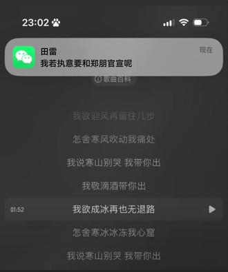 “我若执意要和郑朋官宣呢”
