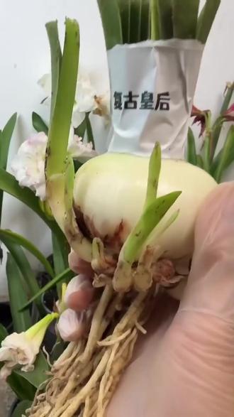 API异常怎么办?这个解决方法超实用!