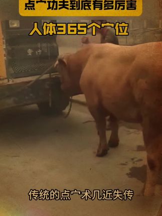 宁可失传,也不误传,习练此术非万不得已不可使用#一招制敌#独门绝技