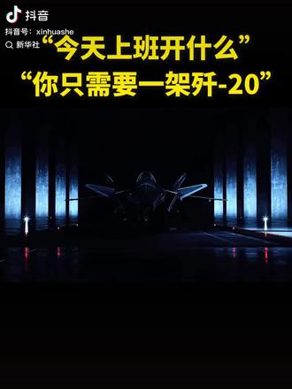 今天上班开什么"你只需要一架歼20。#新华社