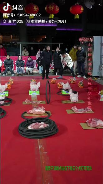 海洋“一跪一趴”,就问牛不牛!#海洋1625 #套圈⭕ #海洋大舞台 #上热搜 @海洋1625(收卖货助播+法务+切片)