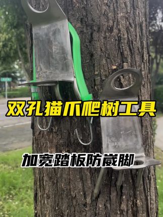 不锈钢双孔猫爪#猫爪 #爬树神器 #爬树猫爪 #爬树高手