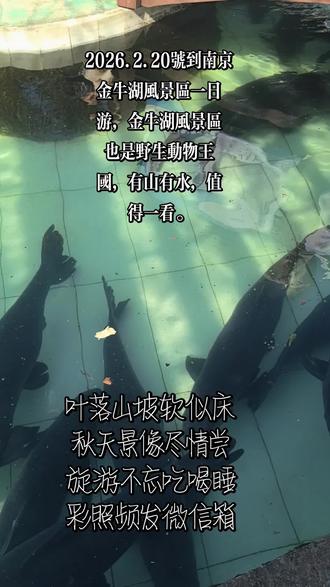 2026.2.21号发布的日常生活,一日游抖音短视频,今天南京金牛湖风景区一片蓝天白云,有山有水有风景,也是野生动物园王国,值得一看。
青山绿水景色美,碧波荡漾映霞晖。
山间鸟语声声脆,林间花香处处随。
清风拂面人陶醉,明月当空夜静美。
此景此情难相忘,原得长住不思归。