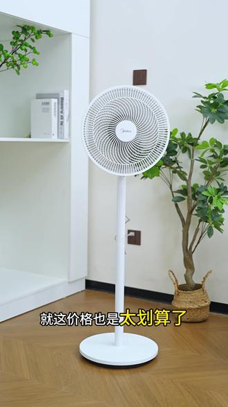 美的这款电风扇真的可以闭眼直接入了,性价比巨高,特别划算~ #电风扇 #风扇 #夏季 #爆款 #美的