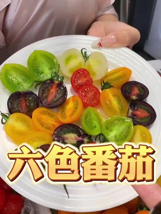 教孩子学会“吵架”,不惹事也不能怕事,在善良中带有一些锋芒,避免社交伤害#亲子教育#正确的引导孩子陪伴孩子 #家长必读