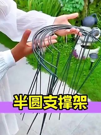 养花多年,还是觉得这款护花架最实用!安装简单,稳固不摇晃,不管什么花,有它就能有型生长,爱花人闭眼入!,#护花架 #养花神器 #绿植养护