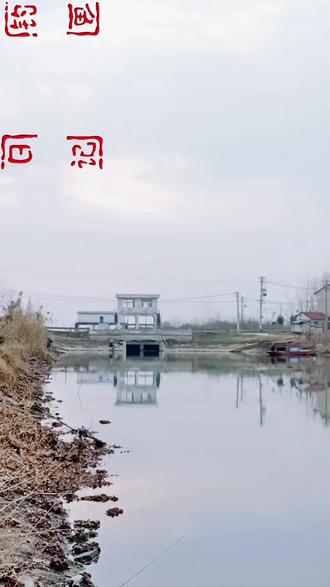 #户外 垂钓野猫三沟小获#冬天钓鲫鱼有多过瘾