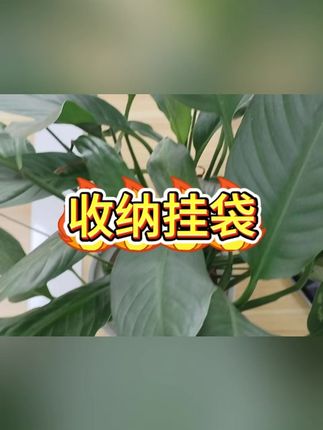 #收纳挂袋#收纳袋#袋子